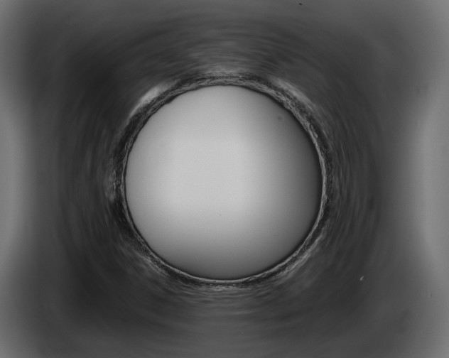 X0000085051306200703051037