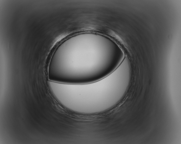 X0000085051308200703051037