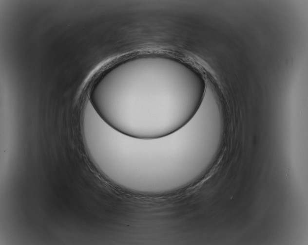 X0000085051310200703051037