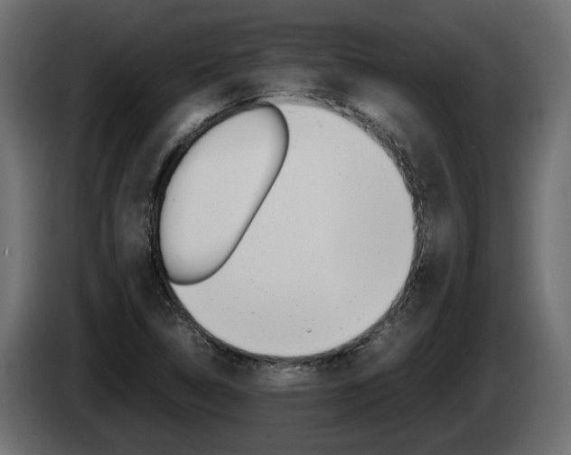 X0000085051314200703051037