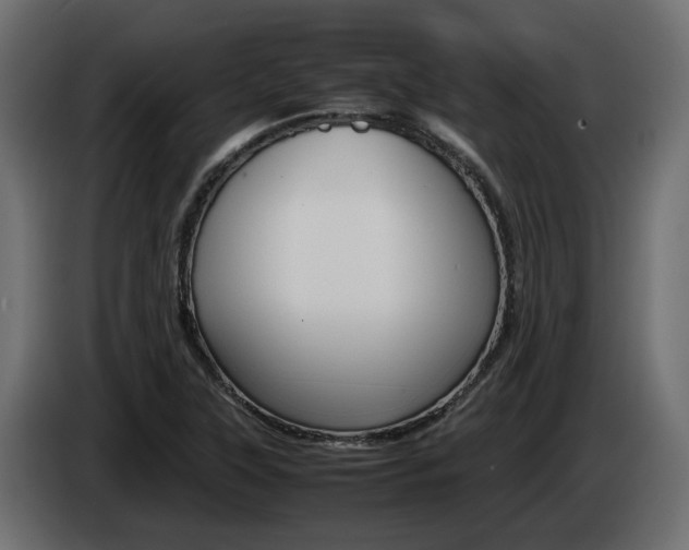 X0000085051315200703051037