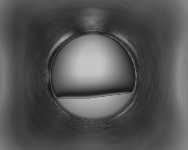 X0000085051317200703051037