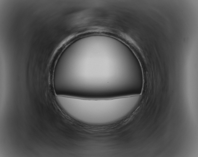 X0000085051318200703051037