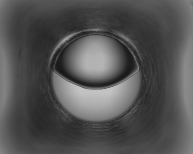 X0000085051319200703051037