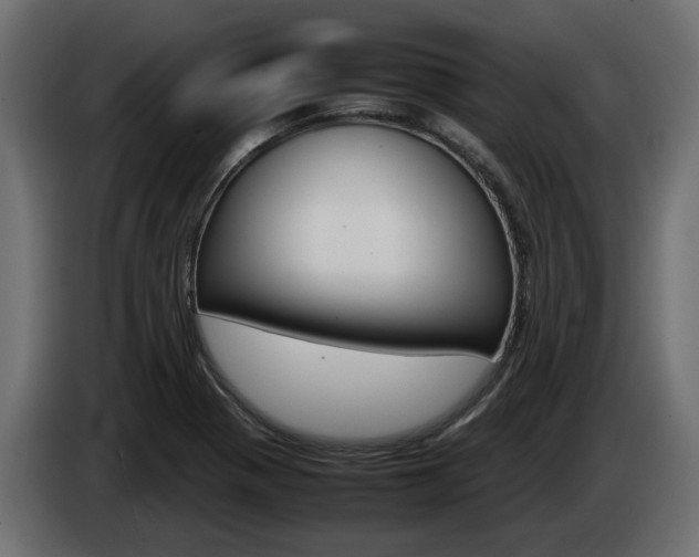 X0000085051321200703051037