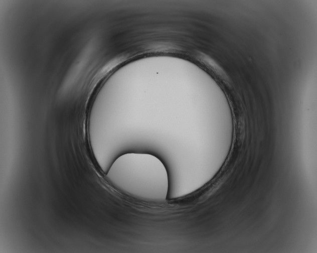 X0000085051322200703051037