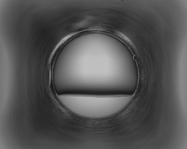 X0000085051323200703051037