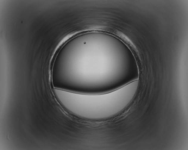 X0000085051324200703051037