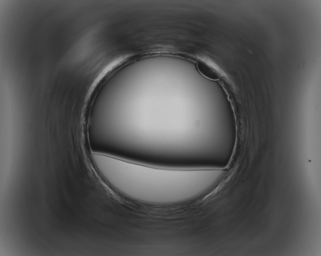 X0000085051325200703051037