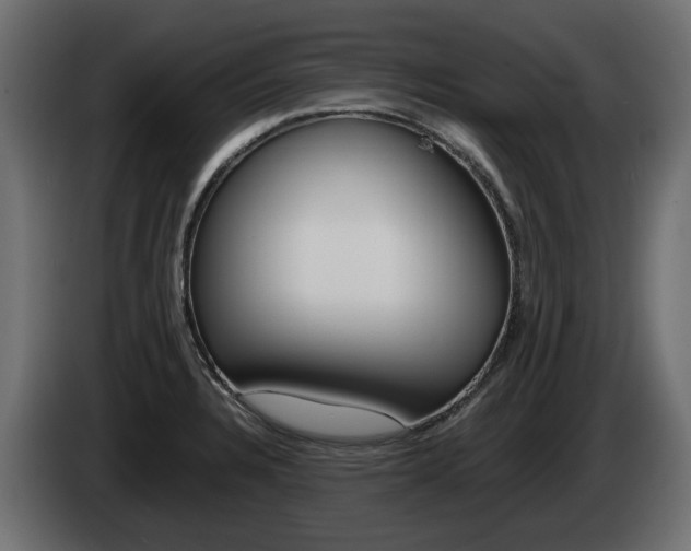 X0000085051328200703051037
