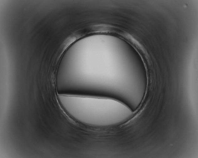 X0000085051329200703051037