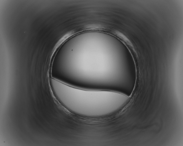X0000085051330200703051037