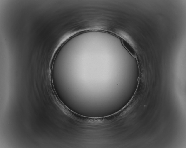 X0000085051332200703051037