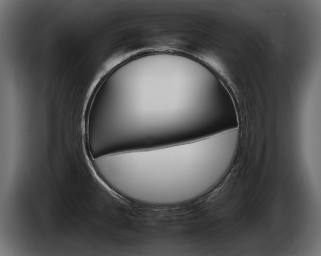 X0000085051335200703051037