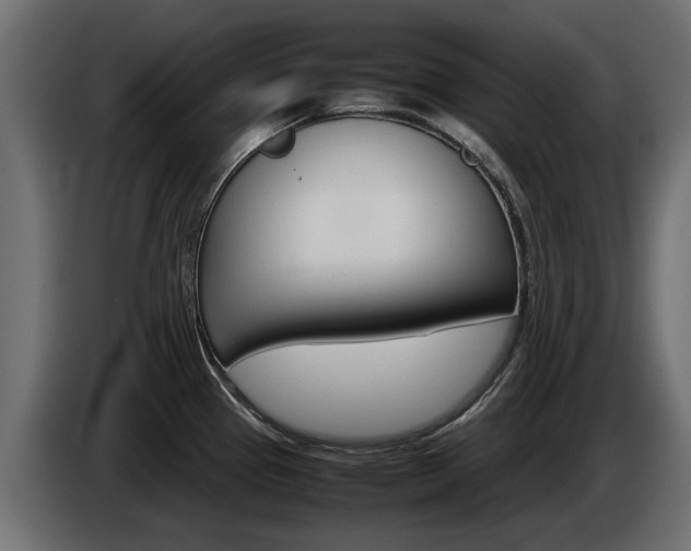 X0000085051337200703051037