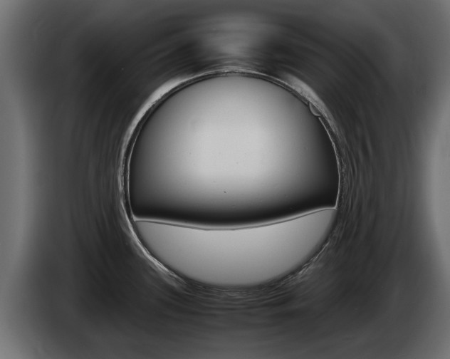 X0000085051339200703051037