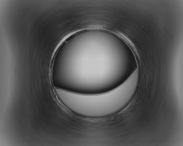X0000085051340200703051037