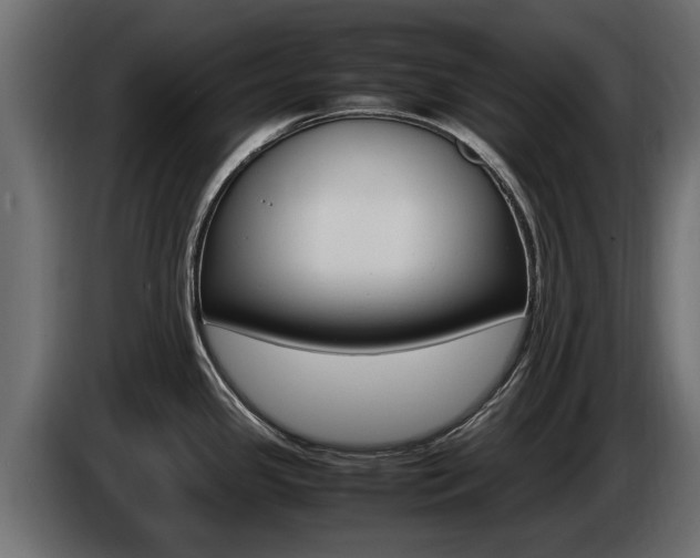 X0000085051341200703051037