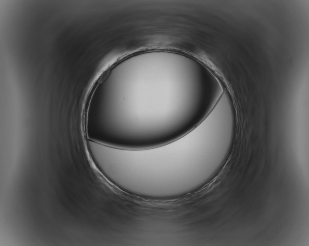 X0000085051342200703051037