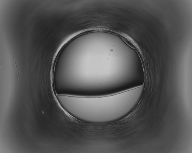 X0000085051343200703051037