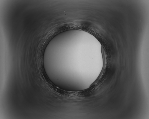 X0000085051345200703051037