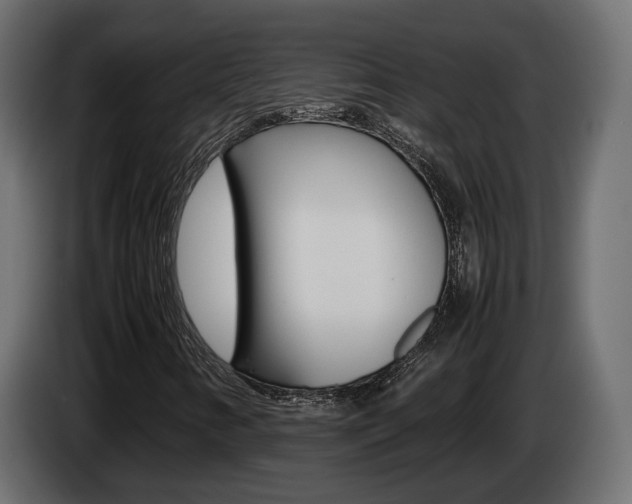 X0000085051346200703051037