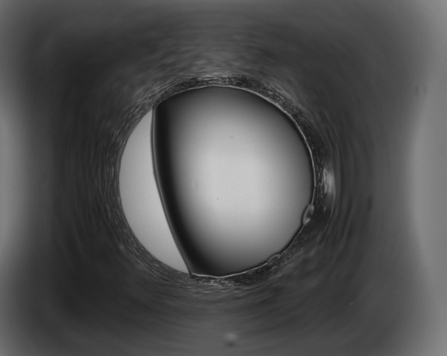 X0000085051348200703051037