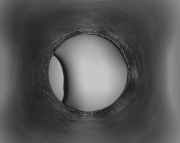 X0000085051350200703051037