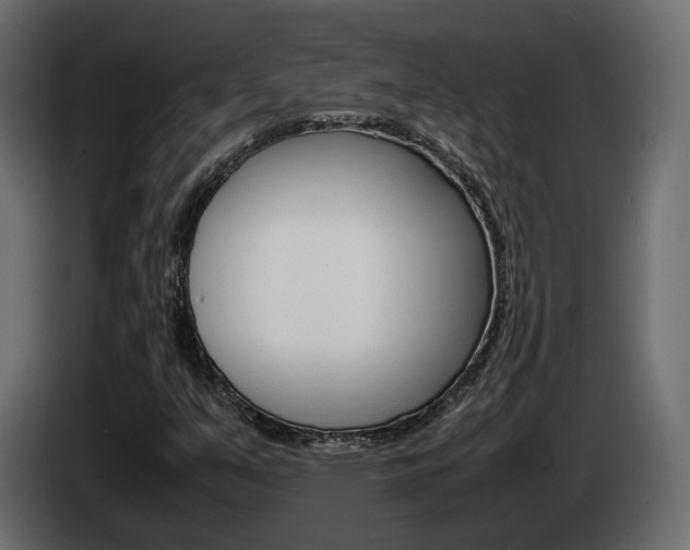X0000085051351200703051037