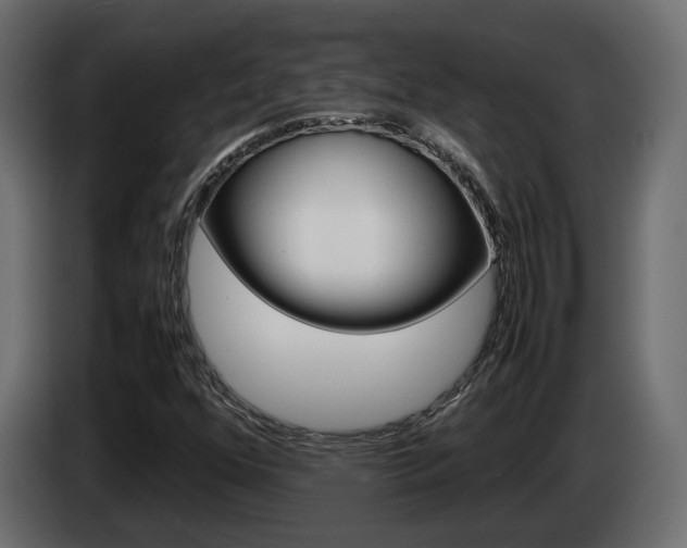 X0000085051352200703051037
