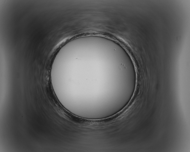 X0000085051355200703051037