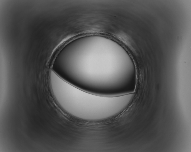 X0000085051356200703051037