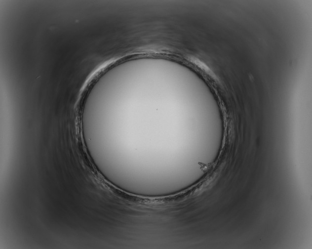 X0000085051358200703051037