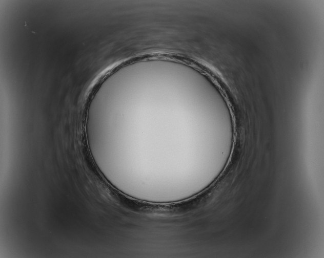 X0000085051359200703051037