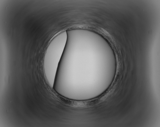 X0000085051361200703051037