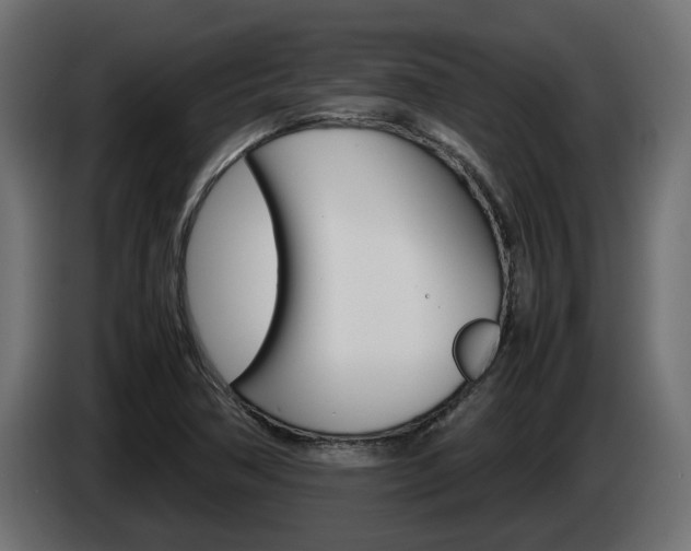 X0000085051362200703051037