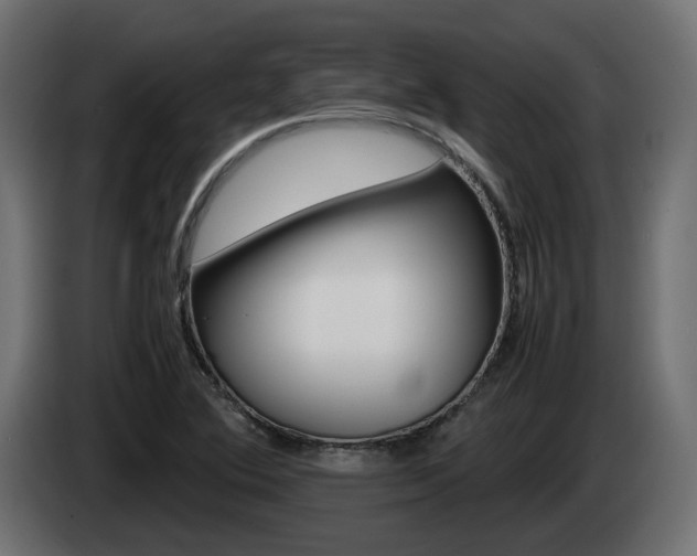 X0000085051364200703051036