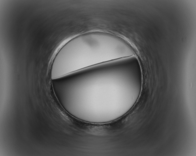 X0000085051367200703051036