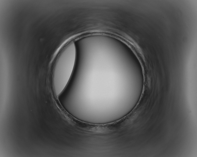 X0000085051368200703051036