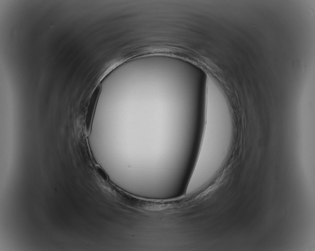 X0000085051369200703051036