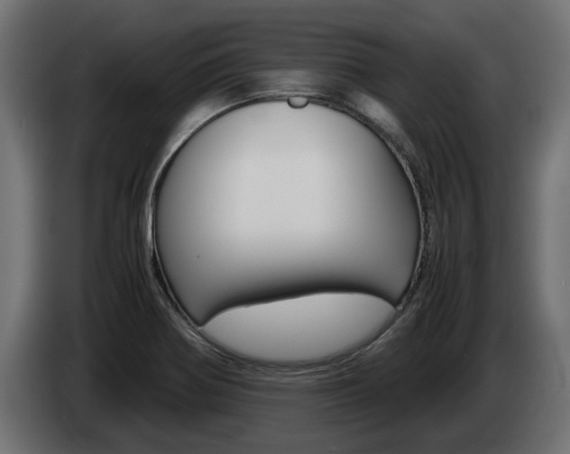 X0000085051370200703051036