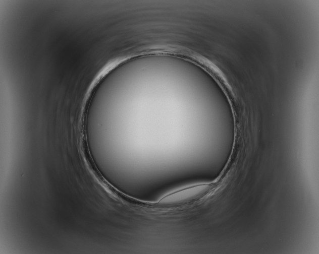 X0000085051373200703051036