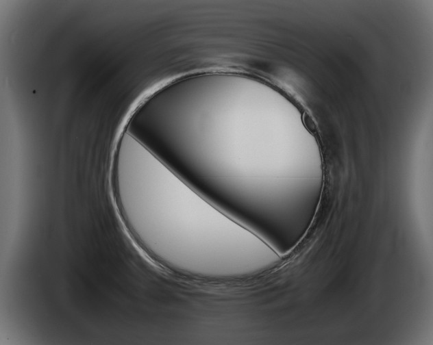 X0000085051379200703051036