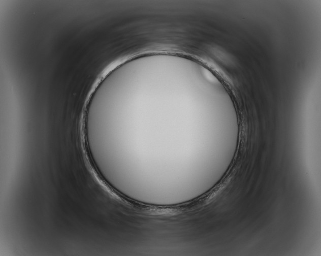 X0000085051382200703051036