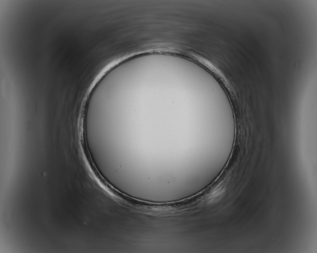 X0000085051383200703051036