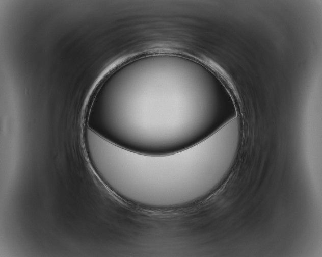 X0000085051384200703051036