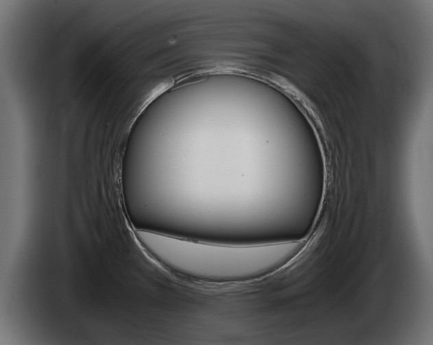 X0000085051385200703051036