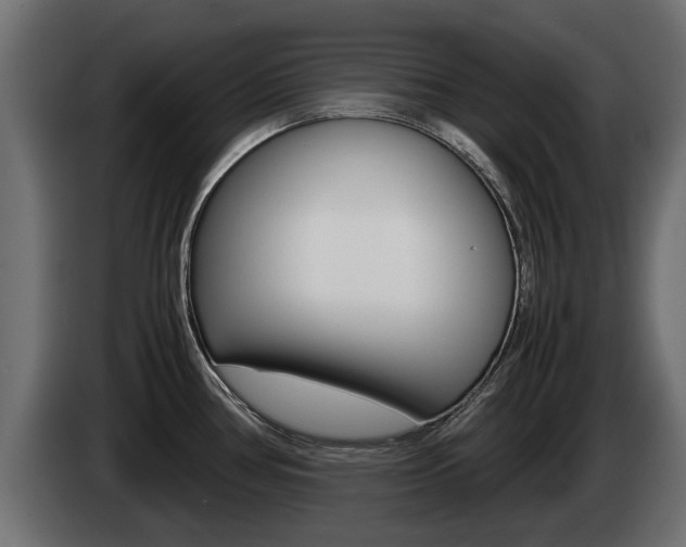 X0000085051386200703051036
