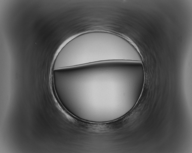X0000085051387200703051036