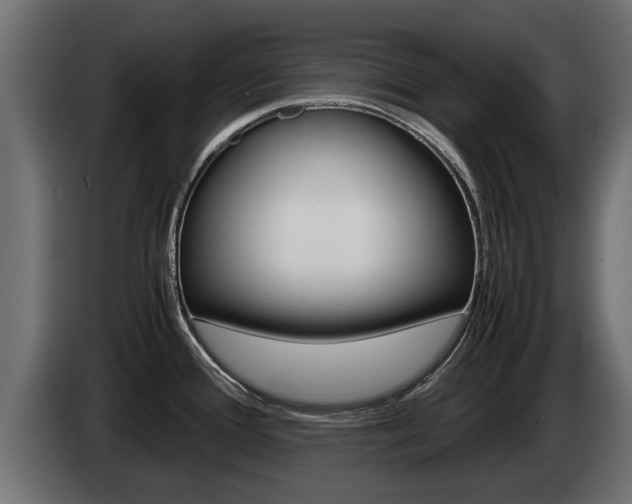 X0000085051388200703051036
